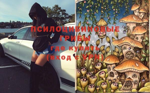 ECSTASY Алексин