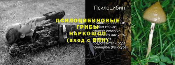 крисы Алексеевка