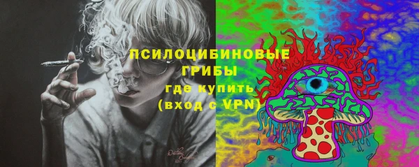крисы Алексеевка