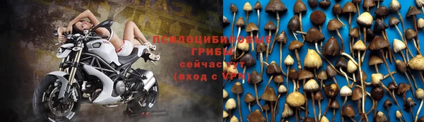 крисы Алексеевка