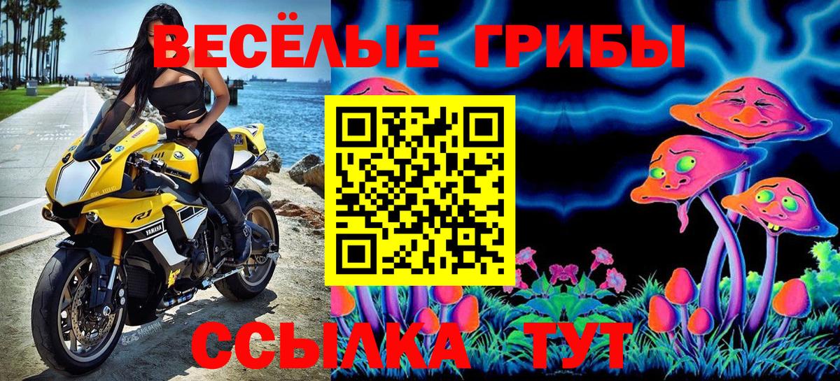 Котельники  цены наркотик  Вход с VPN  Псилоцибиновые грибы мицелий 