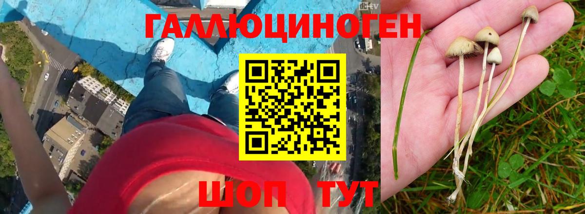 Галлюциногенные грибы мухоморы Котельники